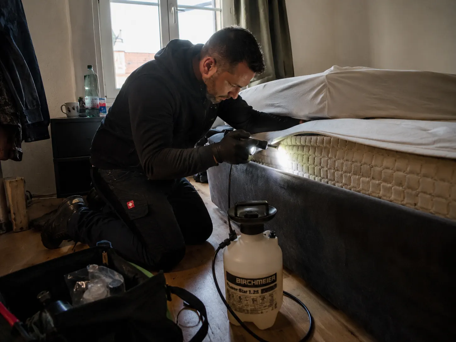 Bettwanzenbekämpfung